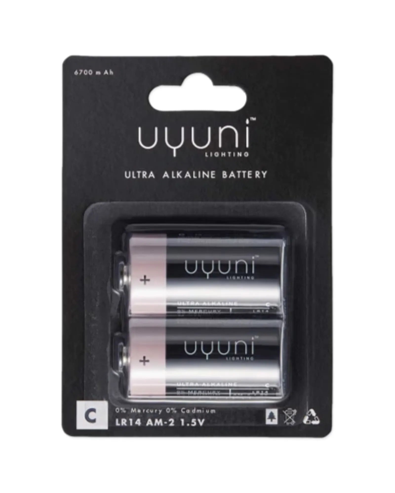 C Batteries (2 Pack)