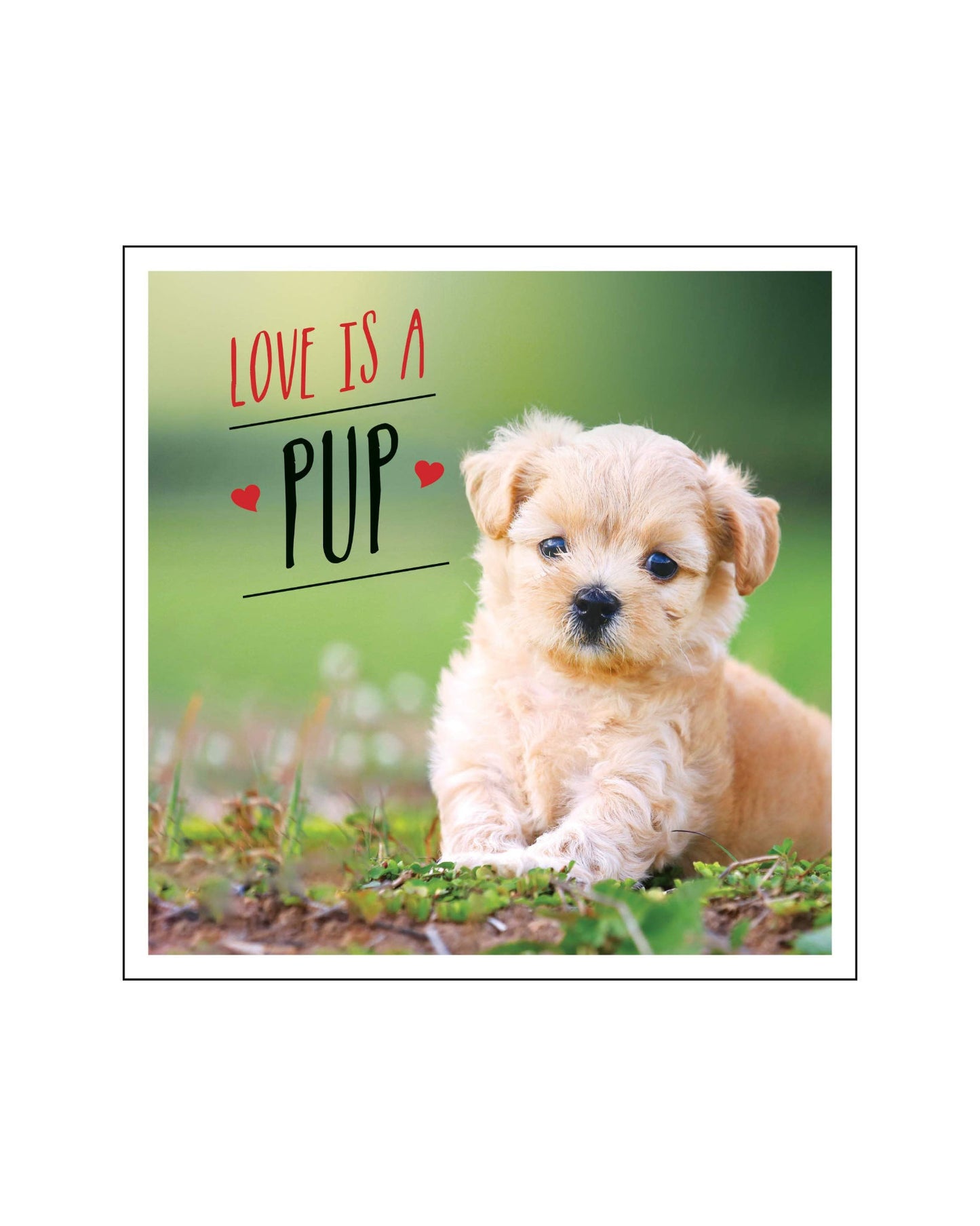 Love Is A Pup