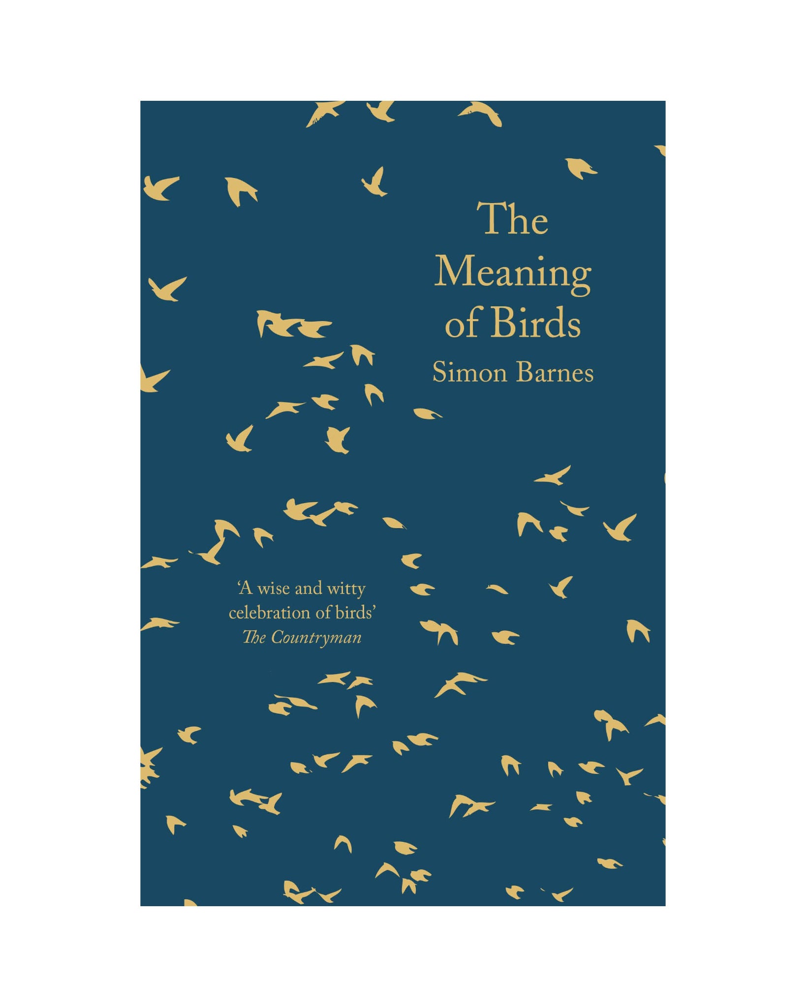 Meaning Of Birds