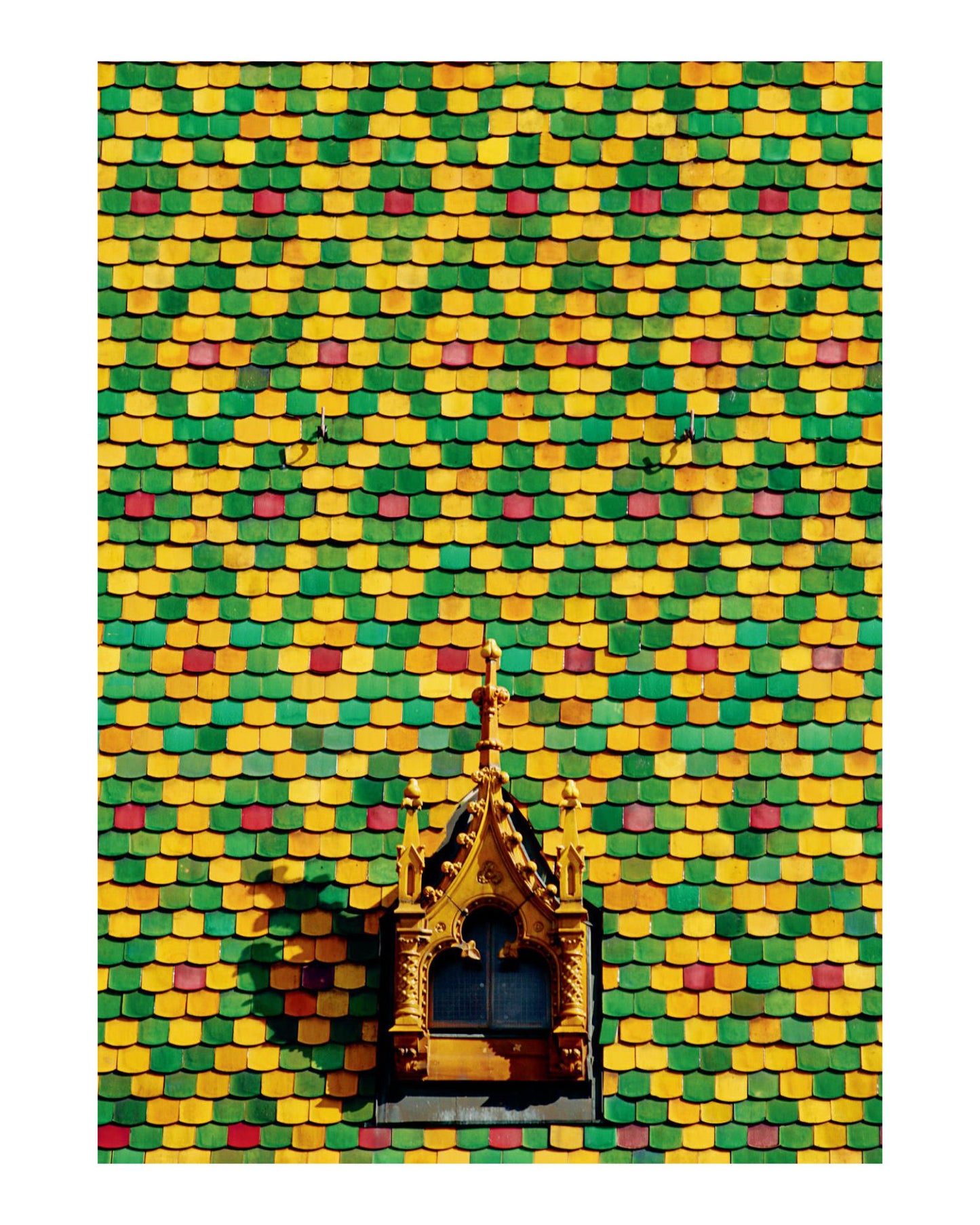 Accidentally Wes Anderson Postcards