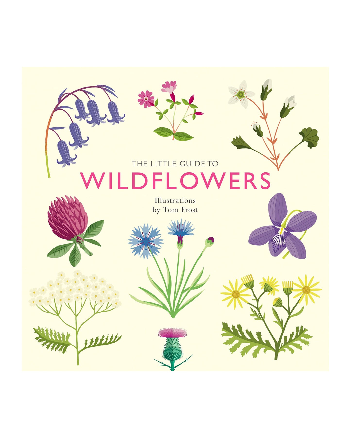 The Little Guide To Wildflowers