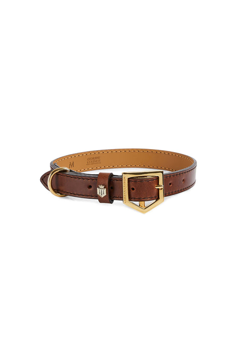 The Fitzroy Dog Collar - Tan Leather