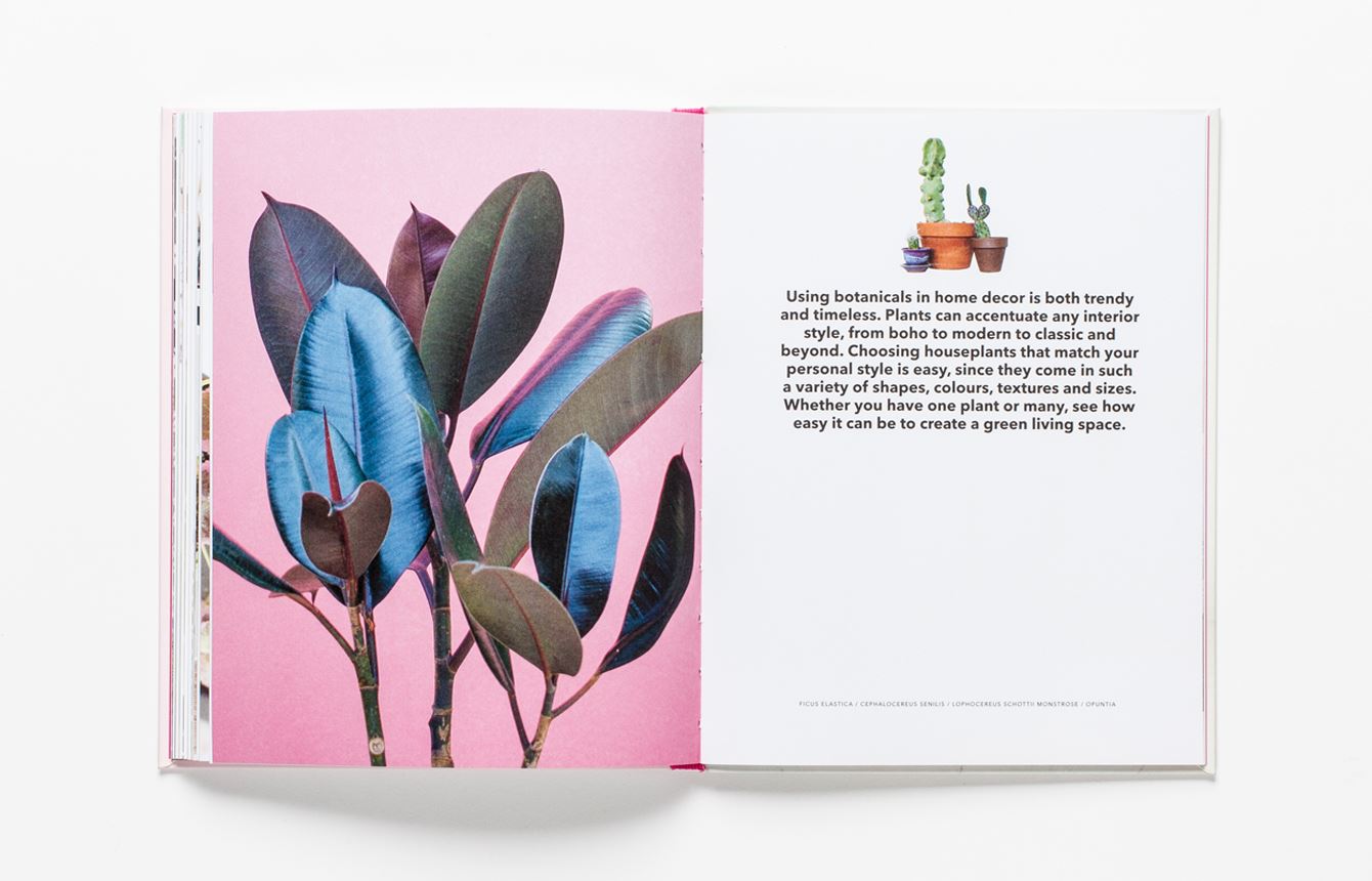 How To Raise A Plant And Make It Love You Back