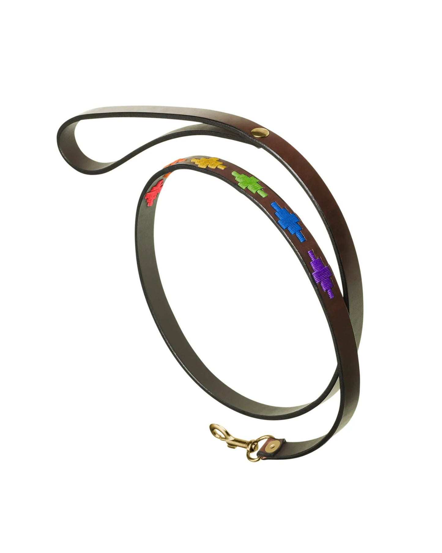 Dog Lead - Igualdad
