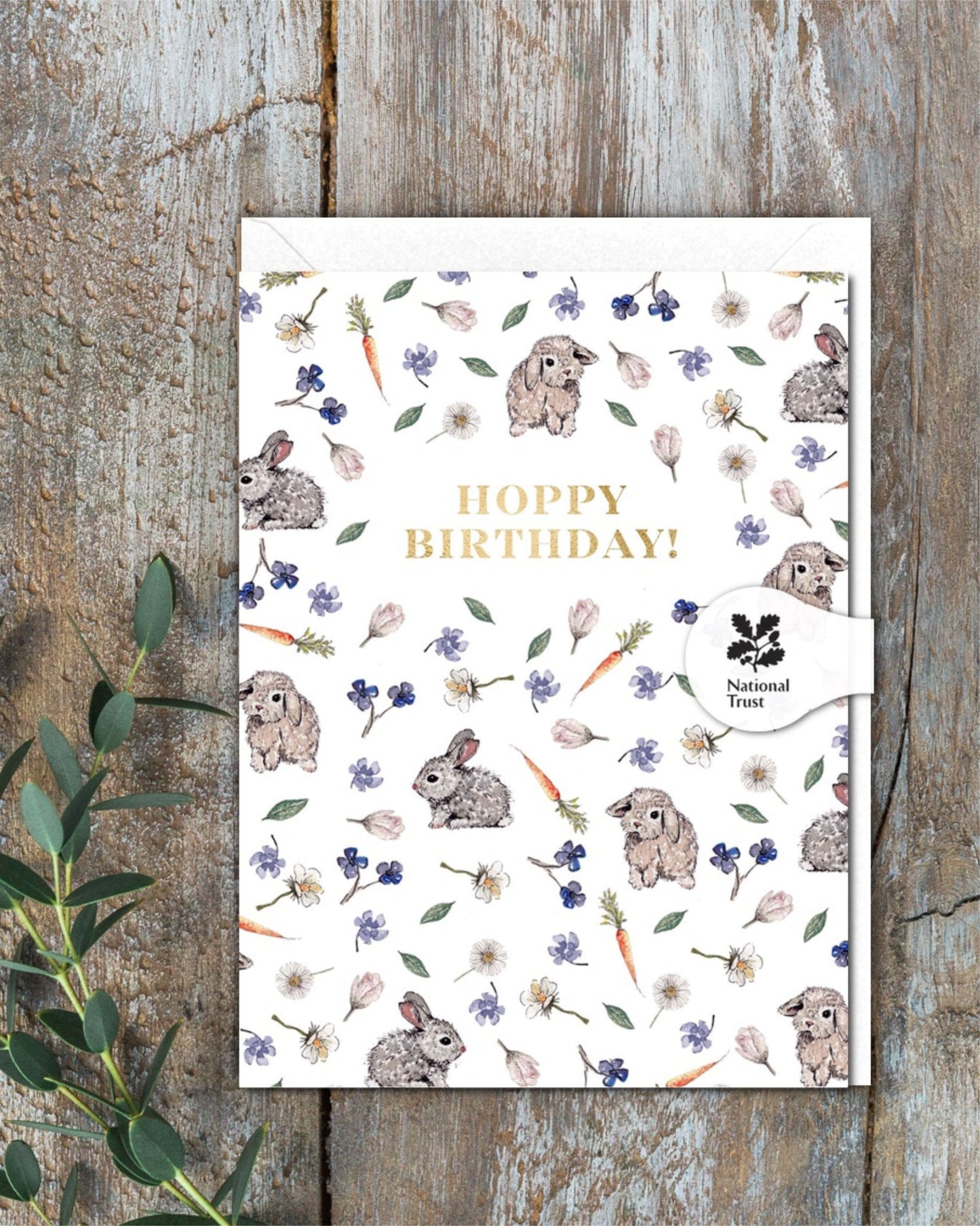 Hoppy Birthday (Bunnies Pure) Card